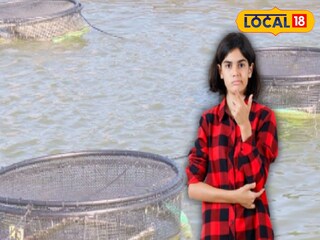 মাছ চাষে ক্ষতি