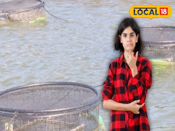 মাছ চাষে ক্ষতি
