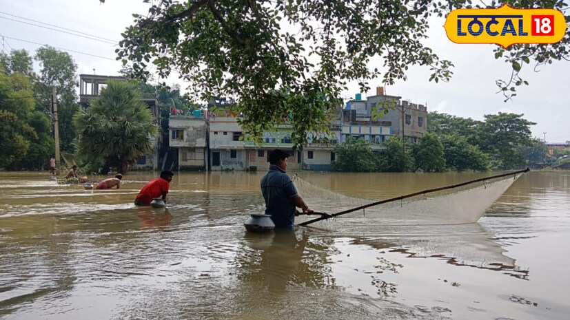 গ্রামের মানুষজন জানাচ্ছেন, জালে ছোট থেকে বড় সব ধরনের মাছই ধরা পড়ছে। কেউ বাড়িতে নিয়ে যাচ্ছেন নিজেদের খাওয়ার জন্য, আবার কেউ নিয়ে যাচ্ছেন বিক্রির উদ্দেশ্যে। অল্প দামে বিক্রি হচ্ছে মাছ, আর সেই মাছ কিনতে ভিড় জমাচ্ছেন আশেপাশের মানুষজন। ফলে এক ধরনের ক্ষুদ্র বাজারও তৈরি হয়েছে গ্রামে। ( ছবি ও তথ্য: মিজানুর রহমান )
