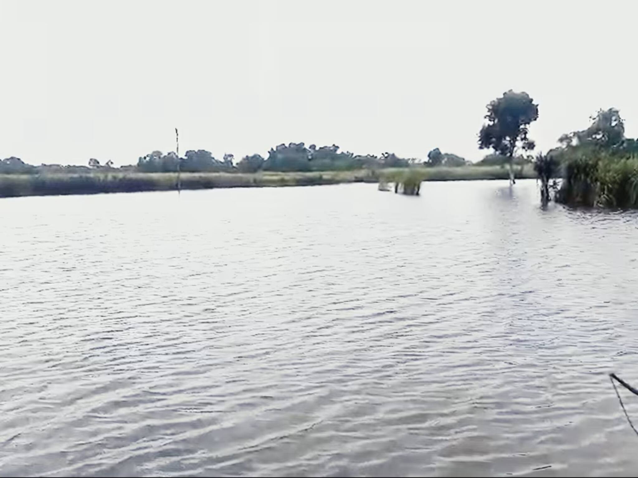 পরের পর দুর্যোগ, ভেঙে পড়েছেন কৃষকরা