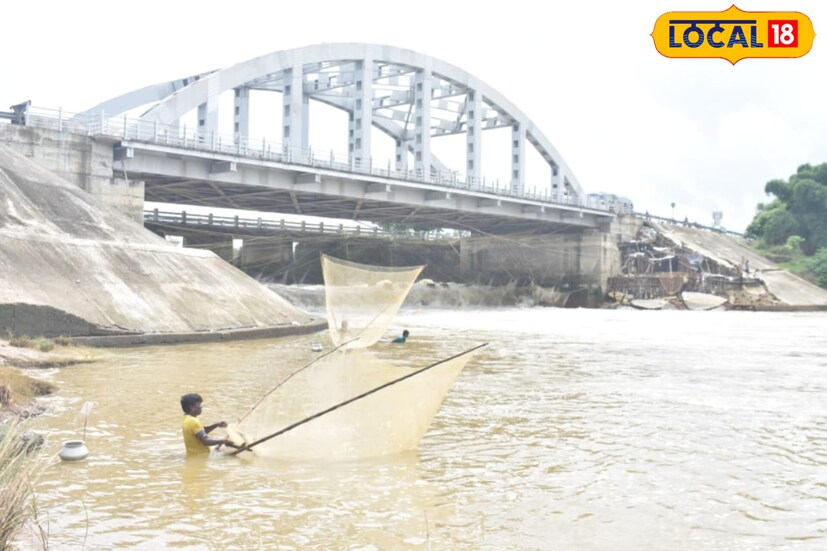 তবে এই বন্যার মাঝেই অন্য এক রঙিন ছবি ধরা পড়েছে মনশুকা এলাকায়। ঝুমি নদীর জল বেড়ে চারদিক প্লাবিত হওয়ার পর জল কমতেই মাছ ধরার হিড়িক পড়ে গেছে। রকমারি জাল নিয়ে দলে দলে মানুষ নেমে পড়েছেন বন্যার জলে। কোথাও হাঁটু সমান তো কোথাও কোমর সমান জলে দাঁড়িয়ে চলছে মাছ ধরার ব্যস্ততা। ( ছবি ও তথ্য মিজানুর রহমান )