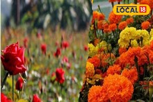 গাঁদা ২০০, গোলাপ ২৫০, বাকি...! হু হু করে বাড়ছে ফুলের দাম, জানুন ফুল বাজারের হালহকিকত