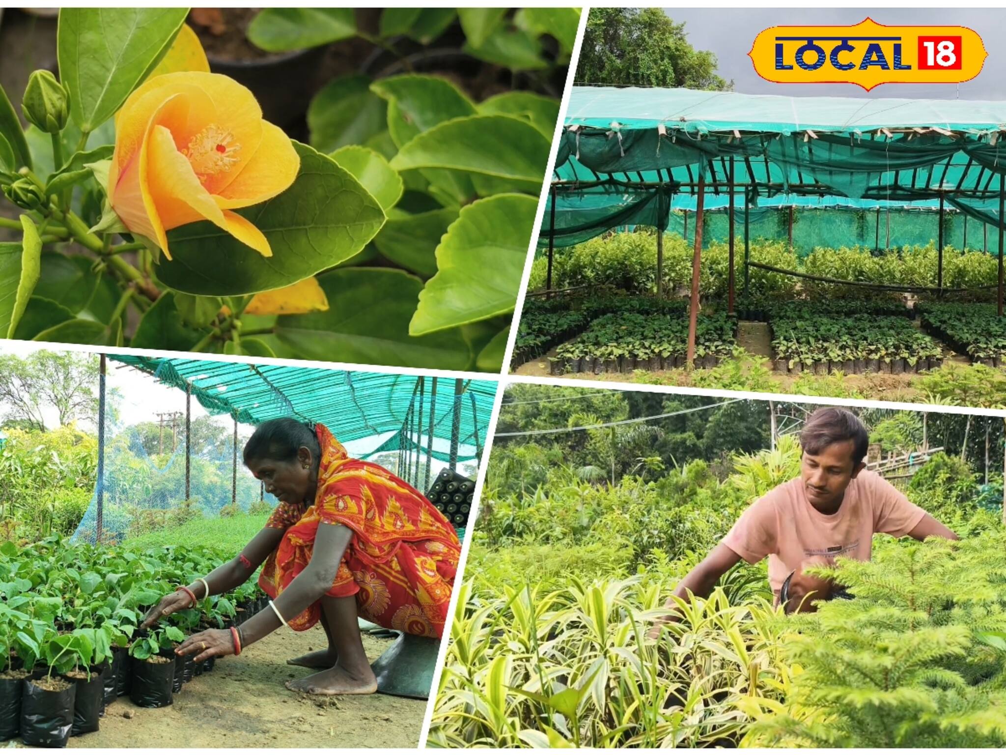 মেদিনীপুরকে টক্কর...! এবার ফুল চাষে উঠেপড়ে নামলেন এই জেলার চাষিরাও