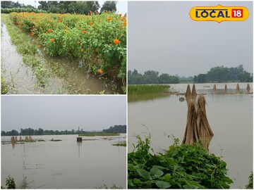 জলমগ্ন