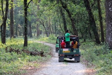 এবার পুজোয়ে জঙ্গলে ঘুরে আসুন,আকর্ষণীয় প্ল্যান রয়েছে,ফ্যামিলি ট্যুরের জন্য 'পারফেক্ট'