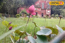 পর্যটকদের সঙ্গে গবেষকদের ভিড়, বোটানিক্যাল গার্ডেনে কী চলছে?