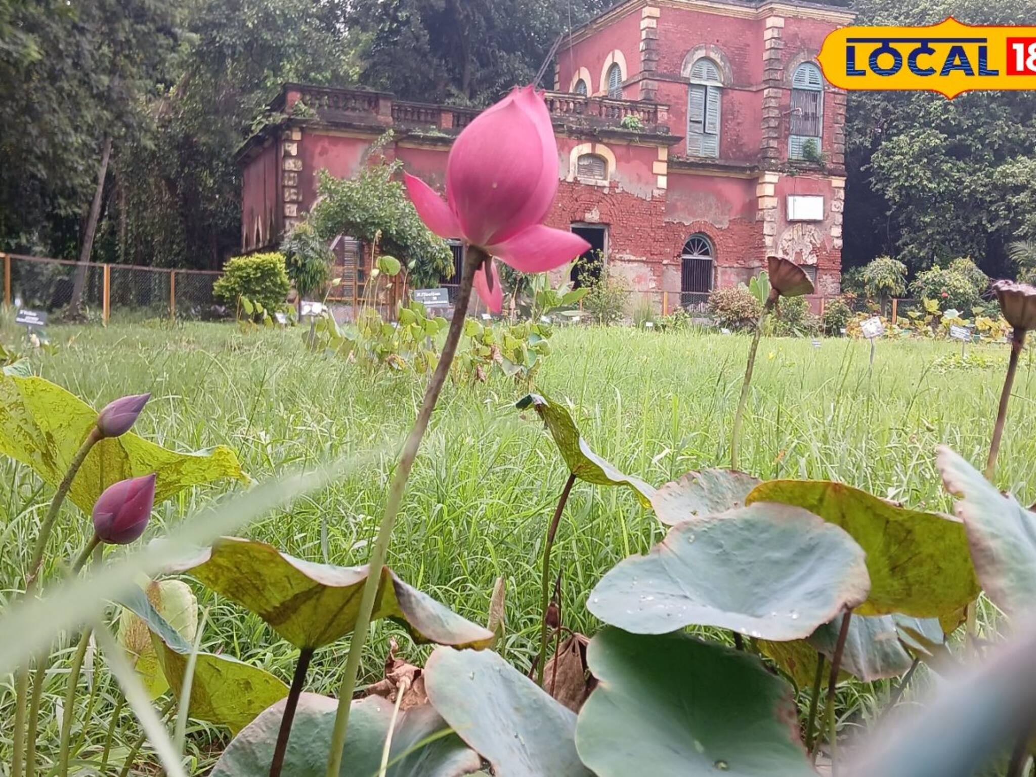 পর্যটকদের সঙ্গে গবেষকদের ভিড়, বোটানিক্যাল গার্ডেনে কী চলছে?