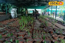 আন্দামান থেকে রাজ্যে এল দেড় হাজার গাছ!  কী হবে জানেন?