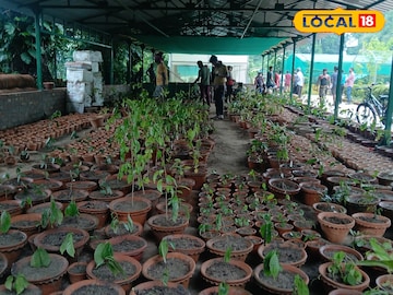 লুপ্তপ্রায়