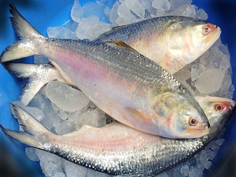 বাজার ঘুরলে বোঝা যায়, মাছের দাম সাধারণ মধ্যবিত্তের সাধ্যের বাইরে। ৫০০-৬০০ গ্রাম ওজনের মাছ ৭০০-৮০০ টাকা, ৮০০-৯০০ গ্রাম হলেই ১২০০ টাকা ছাড়িয়ে যাচ্ছে। আর এক কেজির মাছ কিনতে গেলে ১৫০০-১৬০০ টাকা গুণতে হচ্ছে। যদি দুই কেজি ওজনের রাজকীয় ইলিশ চান, তাহলে সরাসরি ৪০০০ টাকা লাগছে। অথচ বছরখানেক আগেও এই দামে দুটো ভাল মানের মাছ পাওয়া যেত।