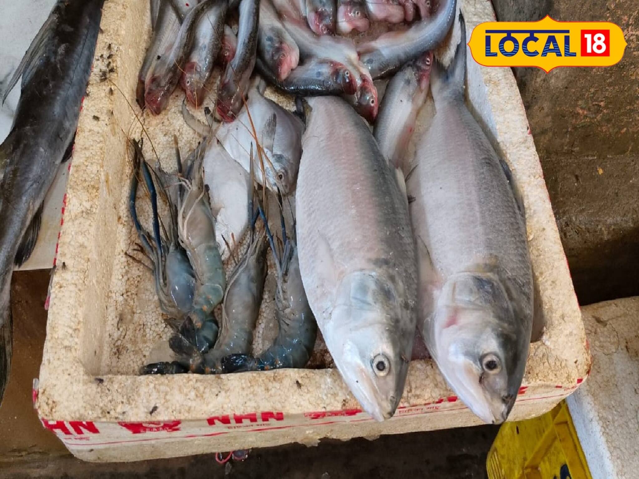 ইলিশ নিয়ে খারাপ খবর! কপালে ভাঁজ মৎস্যজীবীদেরও! আচমকা হলটা কী সাগরে?