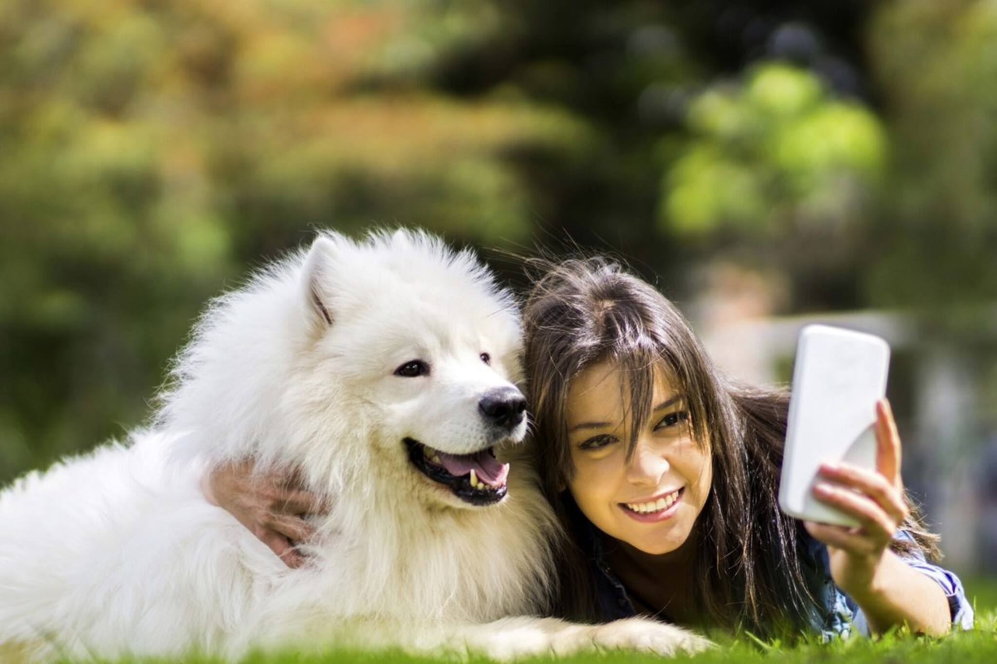 বাড়িতে বিদেশি কুকুর থাকলেই লাইসেন্স বাধ্যতামূলক, নিয়ম হাওড়া পুরসভার