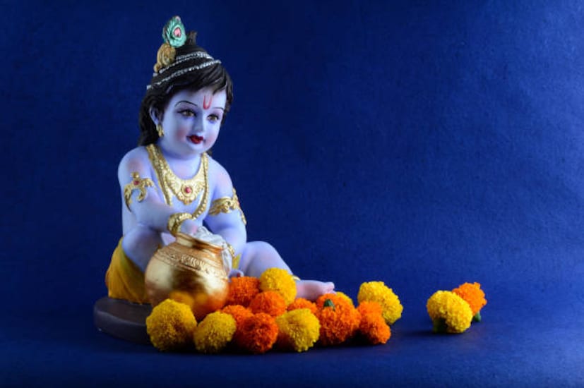 জন্মাষ্টমীর দিন, উপবাস করে ভগবান শ্রীকৃষ্ণের শিশু রূপ অর্থাৎ লাড্ডু গোপালের পূজা করা উচিত। এটি করলে লাড্ডু গোপাল দ্রুত প্রসন্ন হন এবং ইচ্ছা পূরণ করেন। তবে উপবাসের কিছু বিশেষ নিয়মও রয়েছে।
