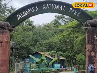 প্রতিকী ছবি।