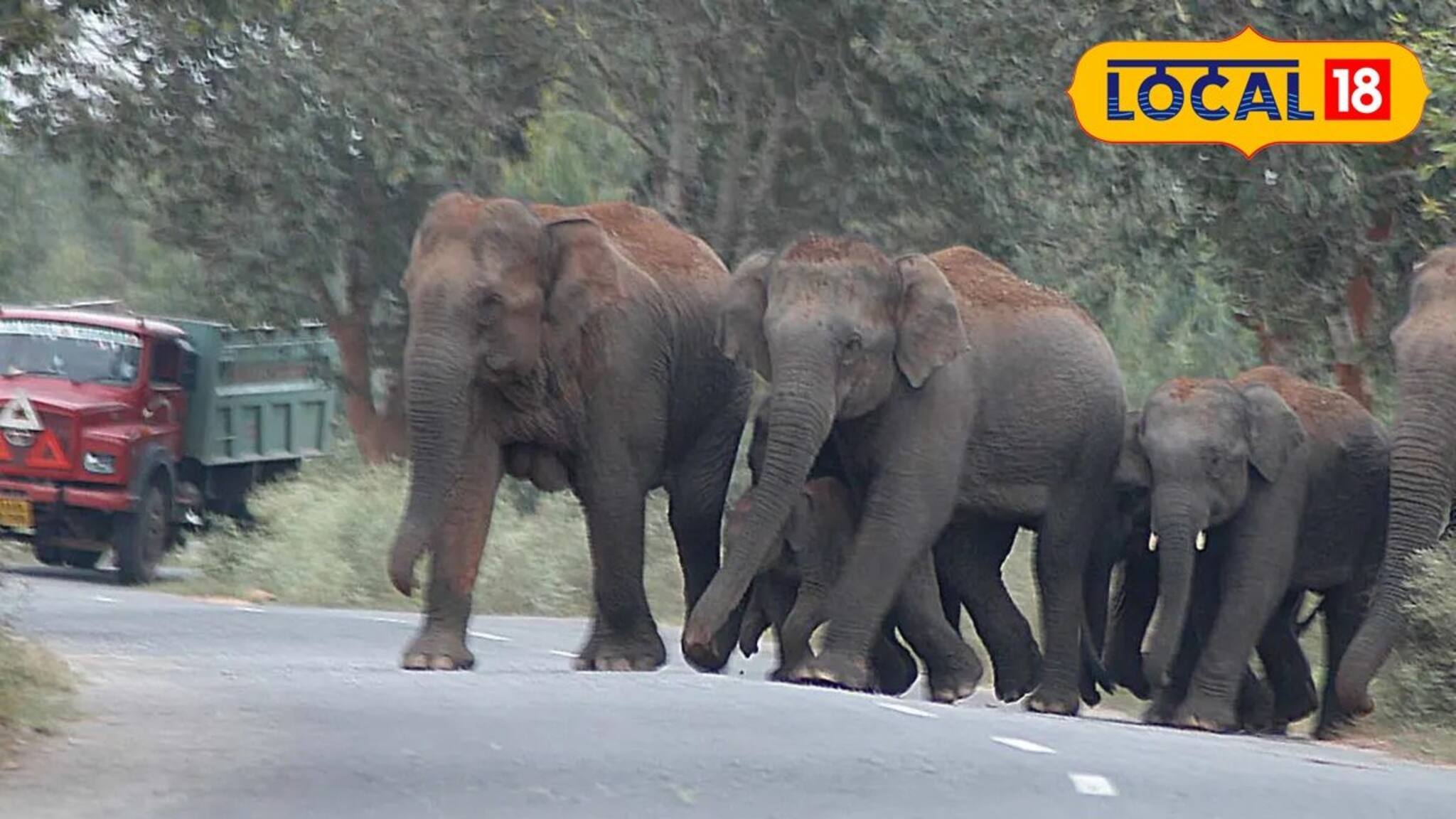 বহুদিন পর এমন দৃশ্য, দেখেই ক্যামেরা বের করলেন সবাই! কী হল দেখুন?