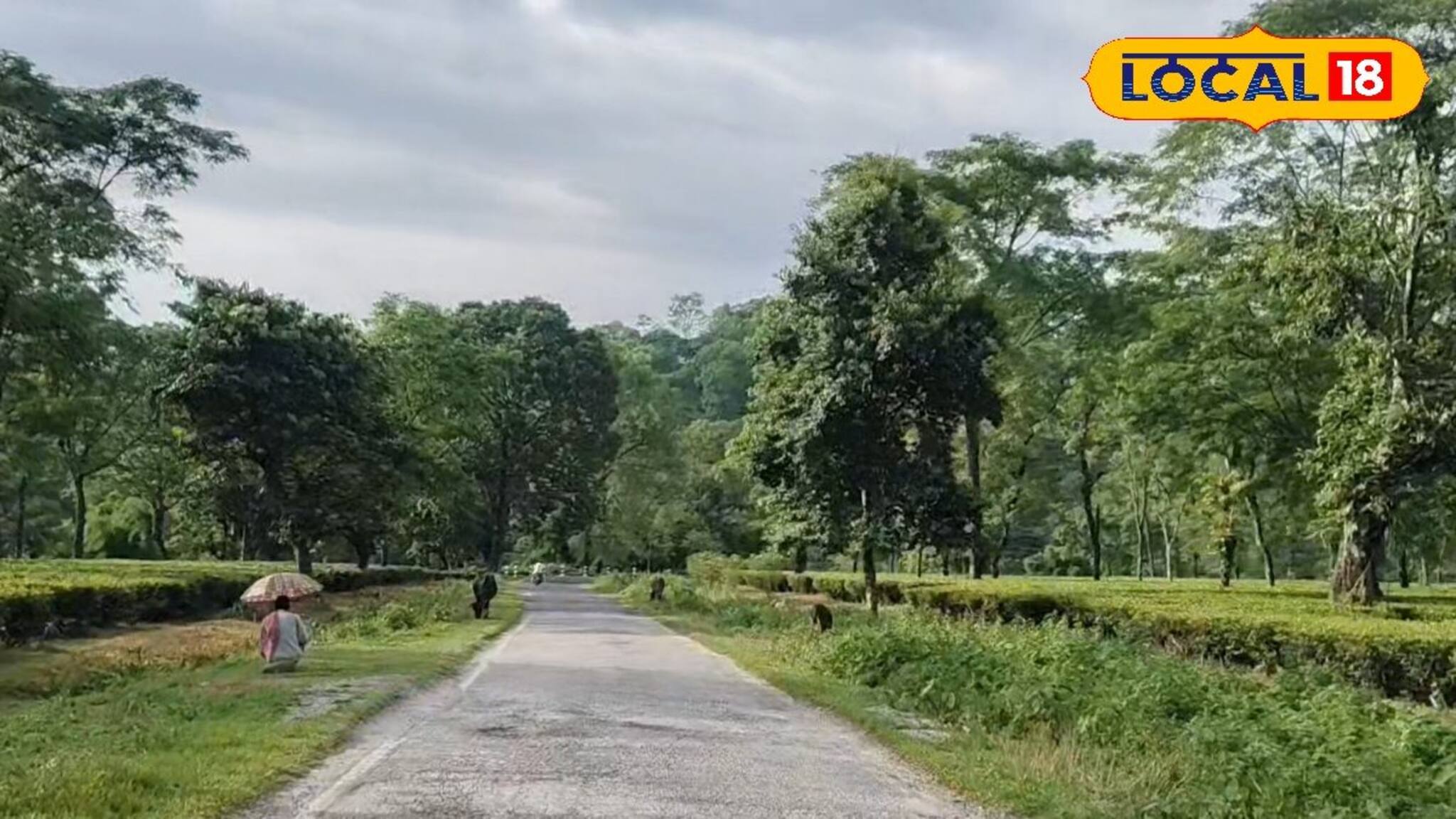 সেলফি তুলে ক্লান্ত হয়ে যাবেন! উত্তরবঙ্গের নতুন আকর্ষণ 'জুরন্তি' দেখে চোখ জুড়িয়ে যাবে