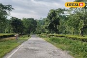 সেলফি তুলে ক্লান্ত হয়ে যাবেন! 'জুরন্তি' দেখে চোখ জুড়িয়ে যাবে