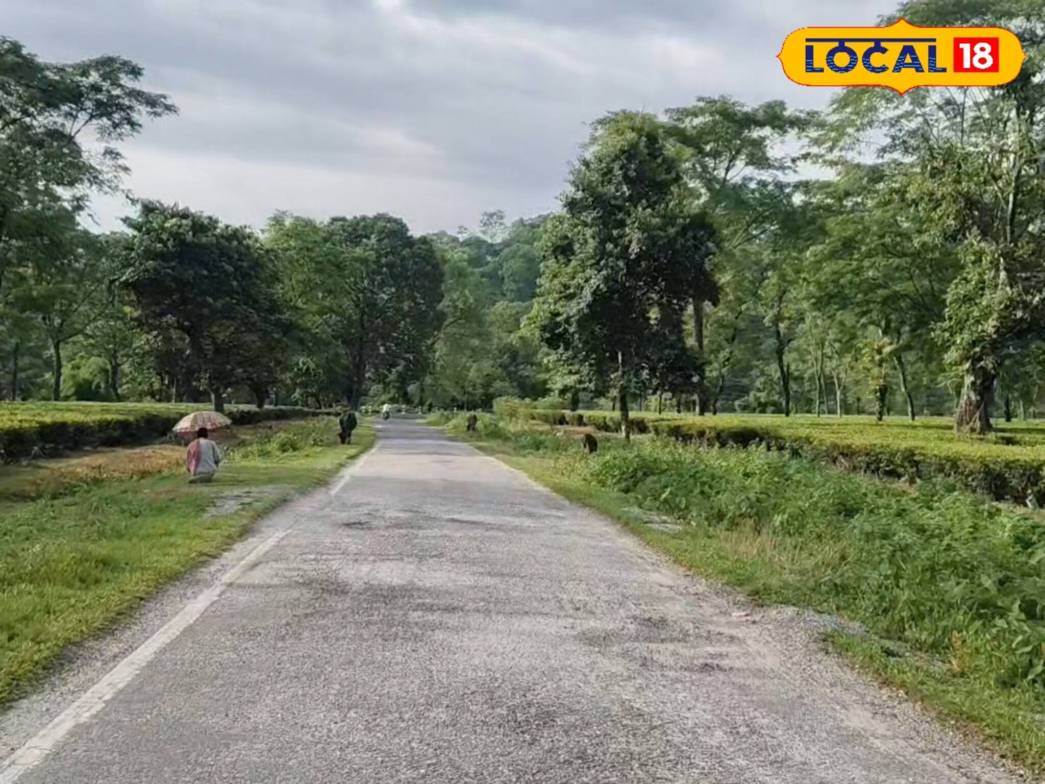 সেলফি তুলে ক্লান্ত হয়ে যাবেন! 'জুরন্তি' দেখে চোখ জুড়িয়ে যাবে