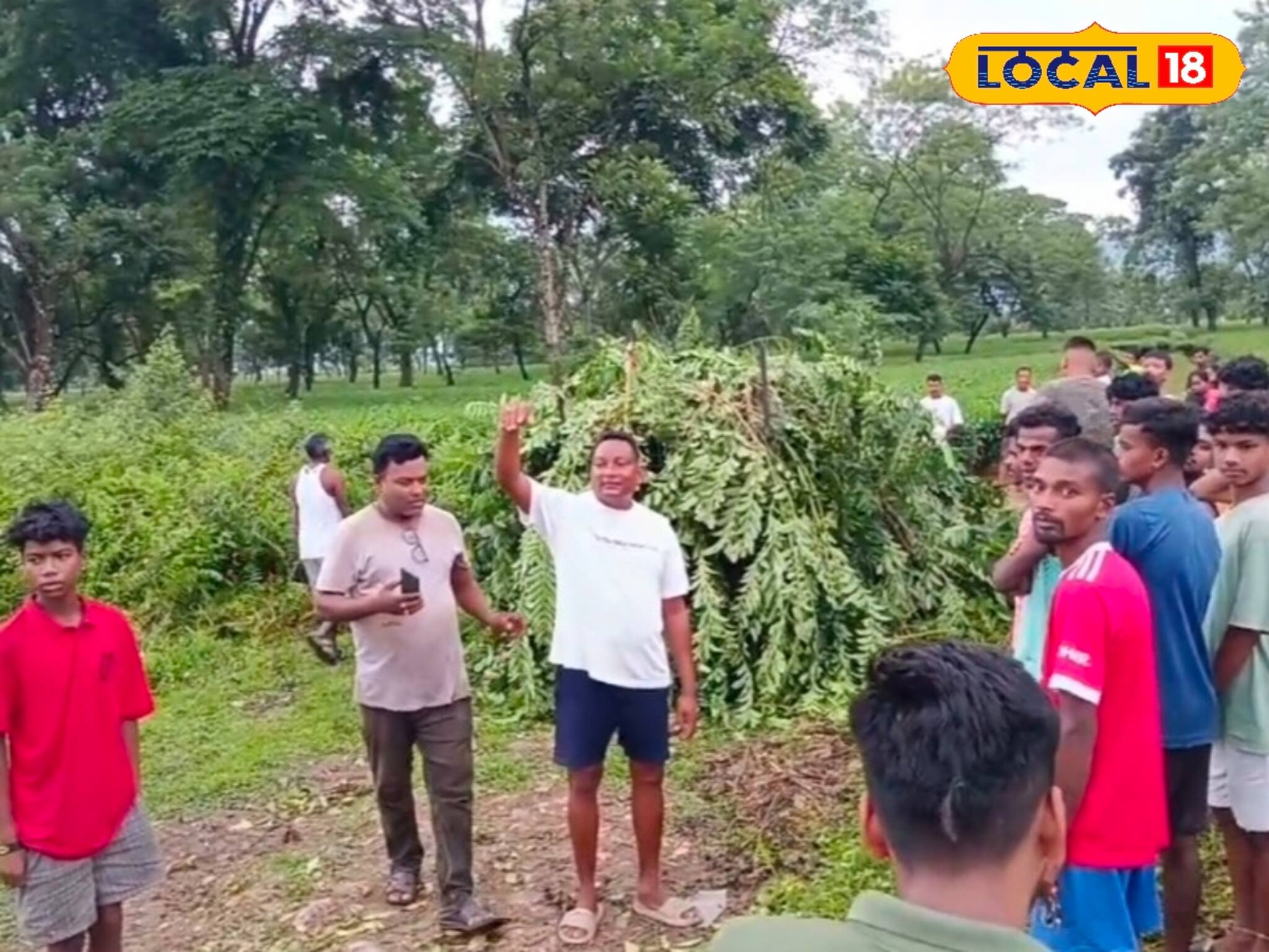 দিনেও দেখা যেত! টোপের ফাঁদে অবশেষে খাঁচাবন্দি 'আতঙ্ক'
