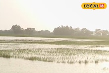 ধান, সবজি সব জলের তলায়! ব্যাপক ক্ষতির মধ্যেই বড় সুখবর শোনাল ঝাড়গ্রাম প্রশাসন