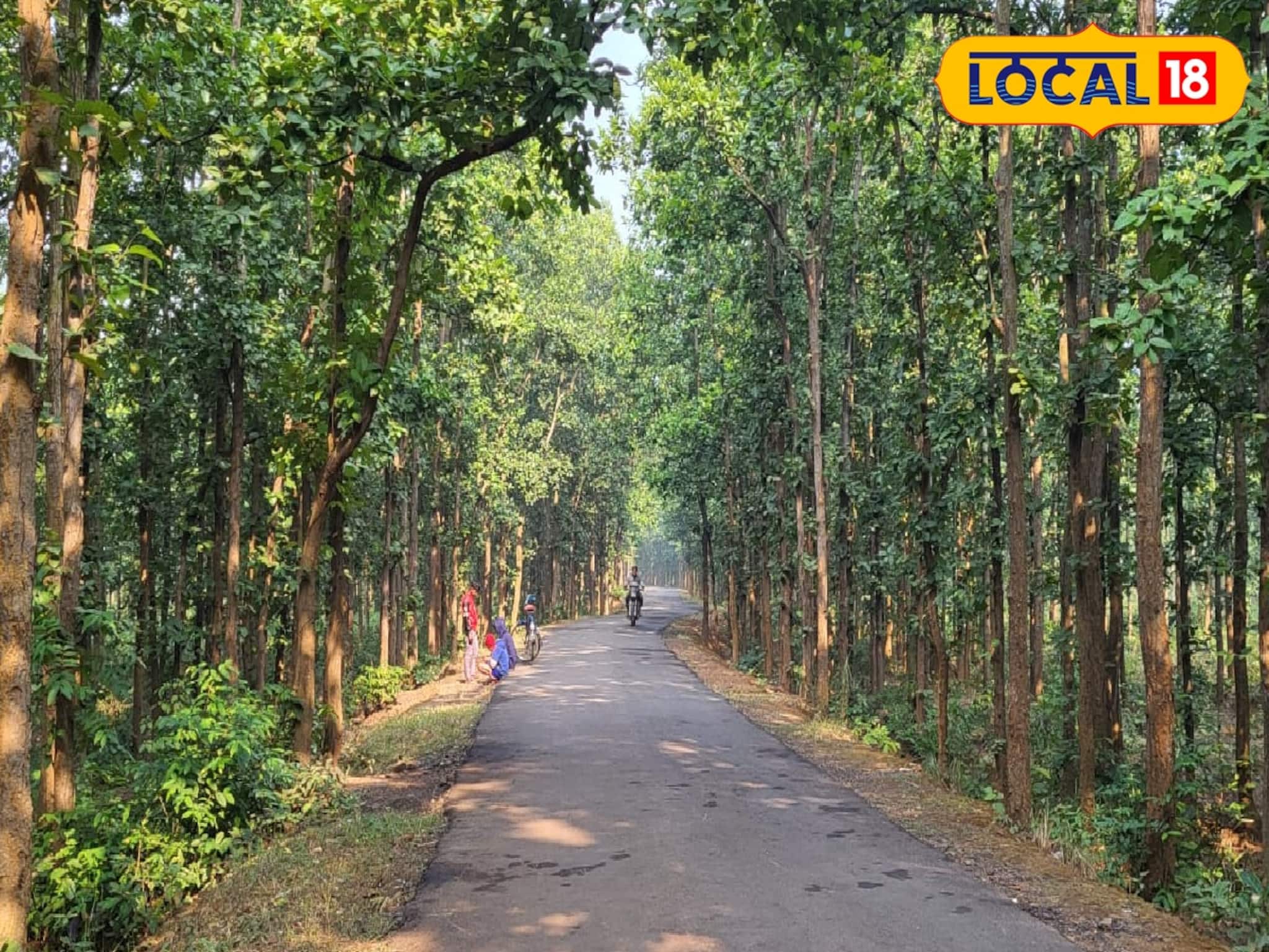 হাতি, বাঘ শেষে এবার জঙ্গলমহলে নতুন আতঙ্ক! ঘরে-বাইরে জ্বালাতন, চরম কষ্টে বাসিন্দারা
