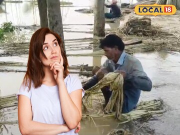 জলে