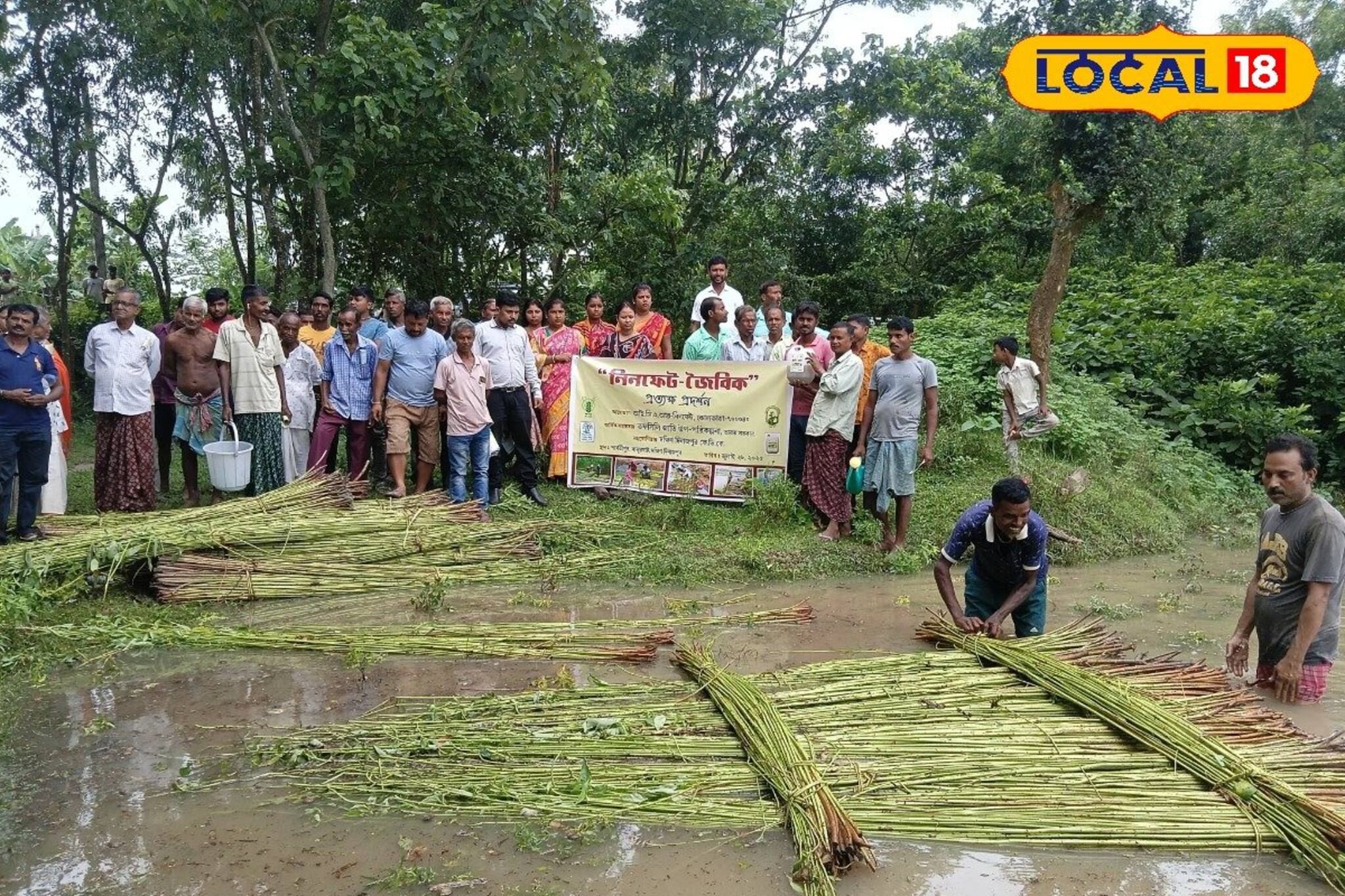 ১২ দিনেই পাট পচে উজ্জ্বল সোনালি আঁশ...! চাষিদের কাজ সহজ করতে এবার এসে গেল দুর্দান্ত দ্রবণ