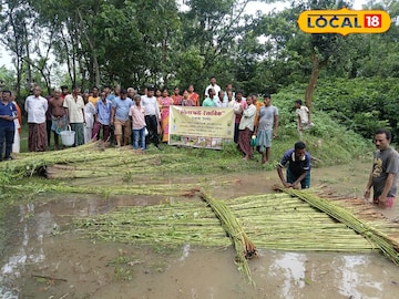 পাট