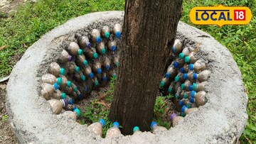 প্লাস্টিক