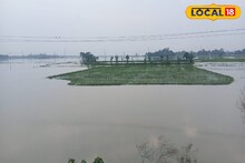 বসে বসে দেখলেন নিজের সর্বনাশ, করা গেল না কিছুই