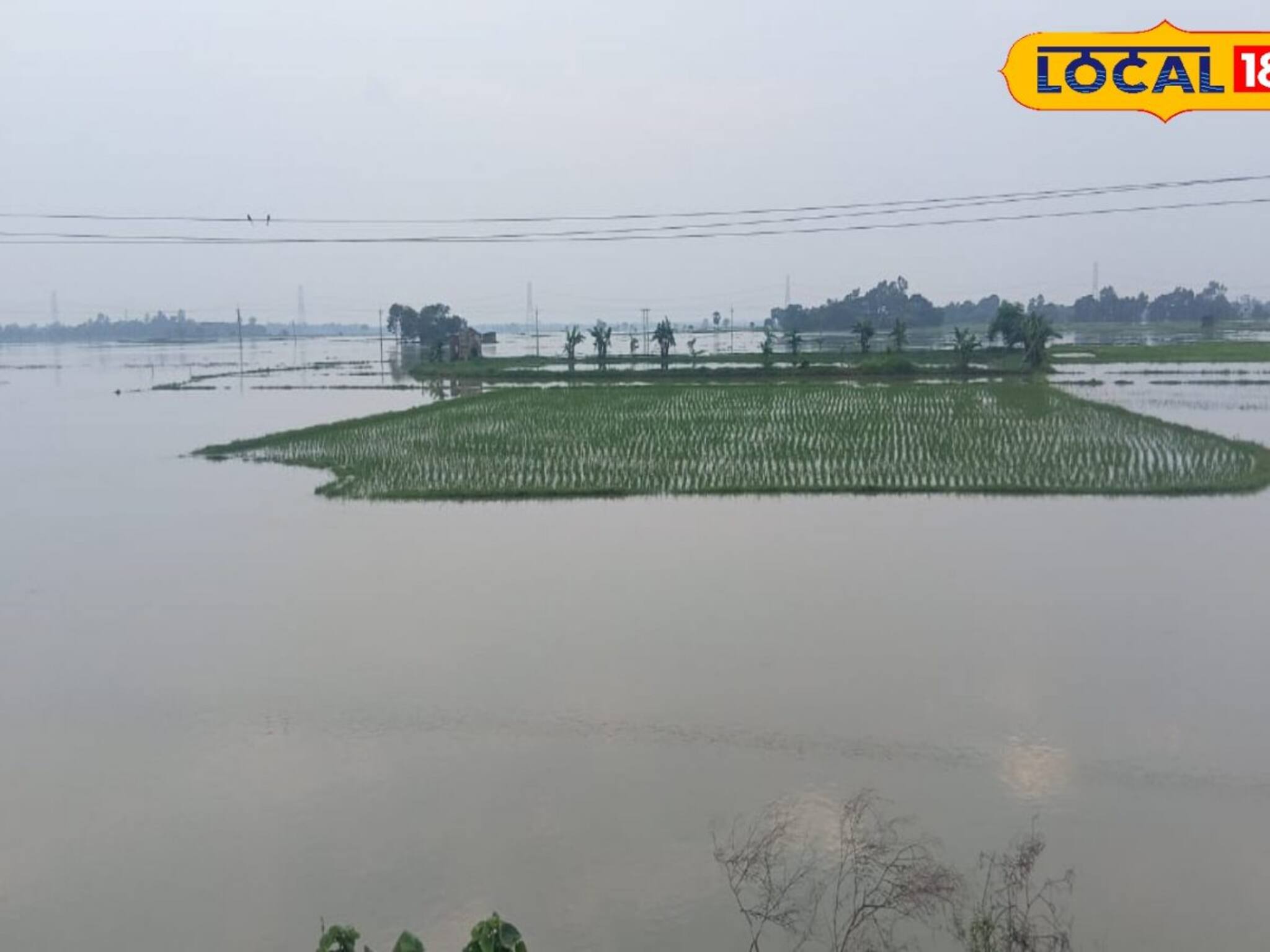 বসে বসে দেখলেন নিজের সর্বনাশ, করা গেল না কিছুই