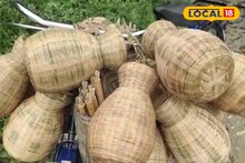 দাম ৪০-৫০ টাকা! বাঁশের তৈরি এইসব পাত্রেই বাগে আসে মাছ, কী নাম জানেন?