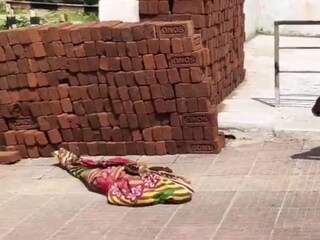 ফাইল ছবি