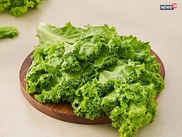 দাম দিয়ে লেটুস কেনার আর দরকার নেই, ছাদেই চাষ করে ফেলুন... আর কিনতে ইচ্ছা করবে না দাম দিয়ে লেটুস কেনার আর দরকার নেই, ছাদেই চাষ করে ফেলুন... আর কিনতে ইচ্ছা করবে না