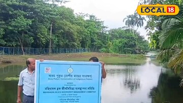 মহিষাদলে