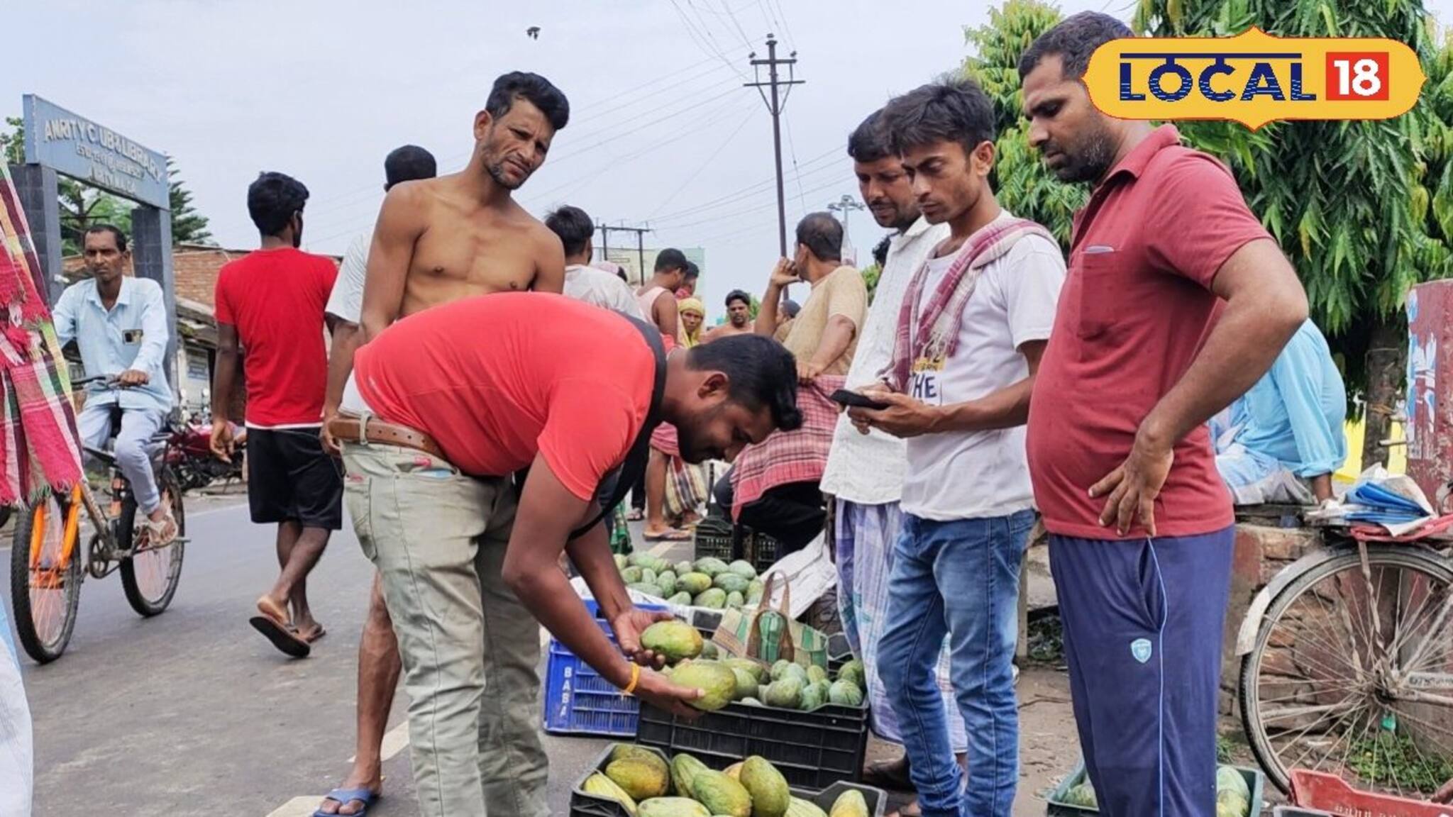 ফজলি, লক্ষণভোগ, হিমসাগর শেষ তো কী! এবার বাজার মাতাতে হাজির সুস্বাদু বৃন্দাবনি, দাম কত