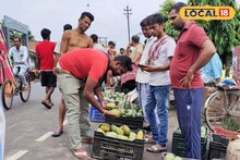 ফজলি, লক্ষণভোগ, হিমসাগর শেষ তো কী! এবার বাজার মাতাতে হাজির সুস্বাদু বৃন্দাবনি, দাম কত