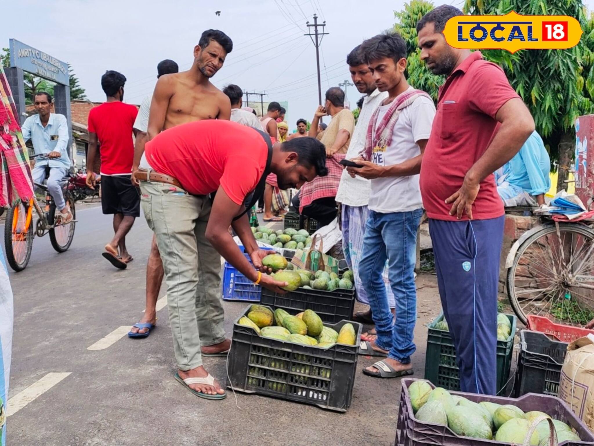 ফজলি, লক্ষণভোগ, হিমসাগর শেষ তো কী! এবার বাজার মাতাতে হাজির সুস্বাদু বৃন্দাবনি, দাম কত