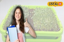 স্বাদে লাজবাব, পুষ্টিগুণে ঠাসা! বাড়িতে বানিয়ে বাজারে বিক্রি করলেই...! আয়ের নয়া দিশা