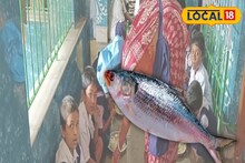 মিড ডে মিলে ডাল-ভাত অতীত! এবার গঙ্গার চওড়া পেটির ইলিশ, আহ্লাদে আটখানা পড়ুয়ারা