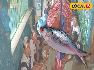 মিড