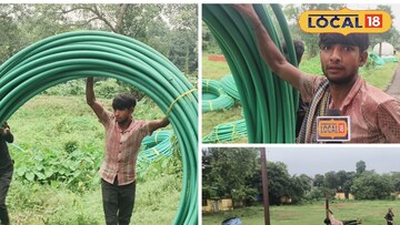 পরিযায়ী