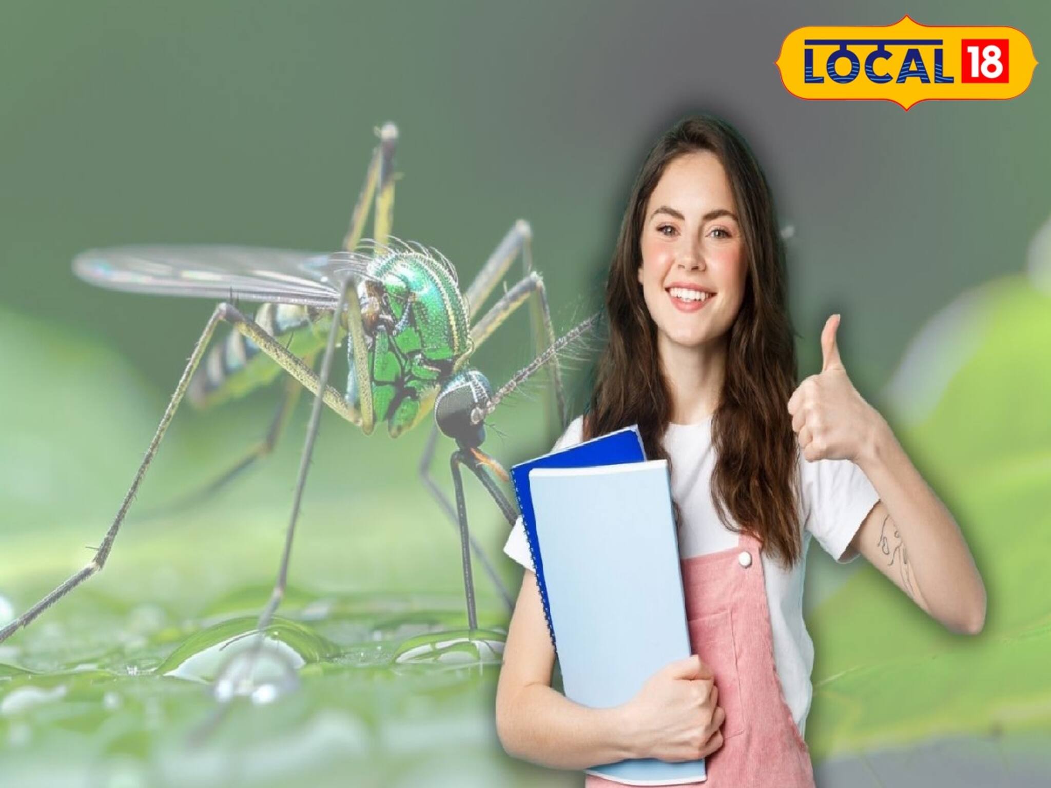 থাকবে না মশার নামগন্ধ! এবার 'অল আউট অপারেশন', বাংলার বুকে বিরাট কর্মযজ্ঞে সামিল এই জেলা