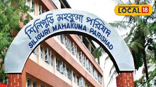 প্রতিকী ছবি। প্রতিকী ছবি।