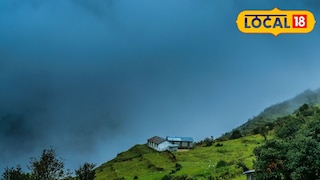 প্রতিকী ছবি। প্রতিকী ছবি।