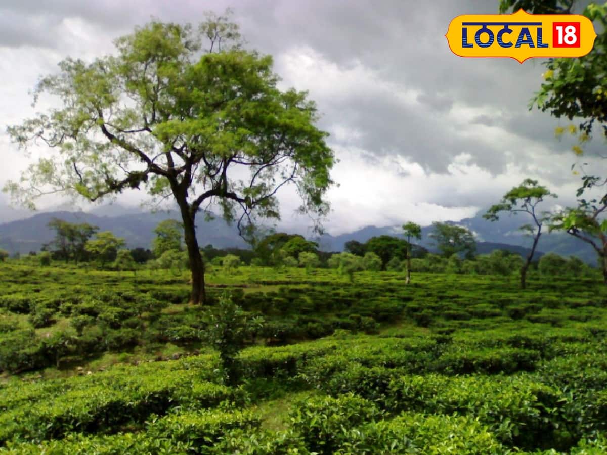 জলপাইগুড়ি : পরিষ্কার আকাশ। গত চব্বিশ ঘন্টায় সর্বচ্চ তাপমাত্রা ছিল ৩৬.০১ ডিগ্রি সেলসিয়াস। সর্বনিম্ন তাপমাত্রা ২৭.০১ ডিগ্রি সেলসিয়াস।