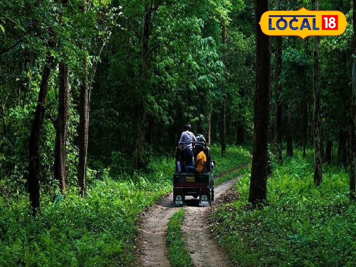 ডুয়ার্স : পরিষ্কার আকাশ।গত চব্বিশ ঘন্টায় সর্বচ্চ তাপমাত্রা ছিল ৩৪ ডিগ্রি সেলসিয়াস। সর্বনিম্ন তাপমাত্রা ২৬ ডিগ্রি সেলসিয়াস।