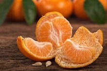 দার্জিলিং বা সিটং নয়, সমতলের এই কমলা লেবুর বাগান দেখতেই টিকিট কাটছেন বহু মানুষ