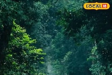 Bankura News: কিসের পায়ের ছাপ এটা! রাত হলেই বাড়ছে আতঙ্ক, ভয়ে কুঁকড়ে বাঁকুড়ার জঙ্গলমহলের বাসিন্দারা