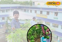 মাটি ছাড়া এত ফলন? বিশ্বাস না হলে ছবিতেই দেখে নিন